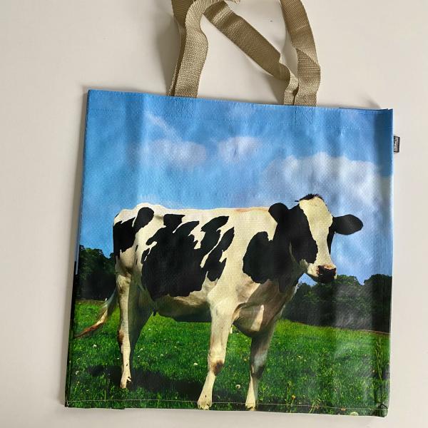 Boodschappentas koe