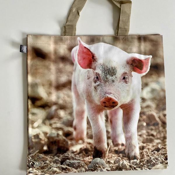 Boodschappentas varken